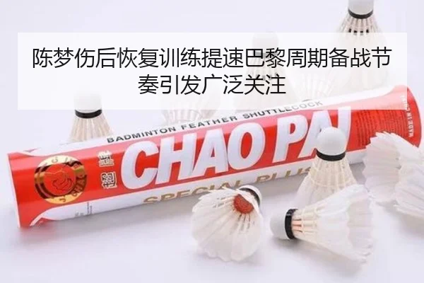 陈梦伤后恢复训练提速巴黎周期备战节奏引发广泛关注 - hth.conapp